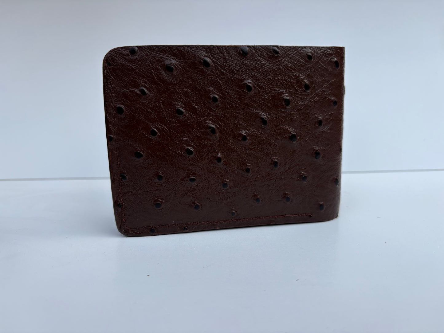 Bi fold Ostrich Skin Wallet | Exotic, Smooth Texture, Timeless Elegance.